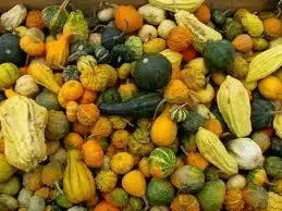 Savez vous cuisiner les courges ?